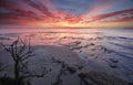 Sunrise Plantation Point Jervis Bay Vincentia Royalty Free Stock Photo