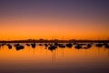 Sunrise in Port Townsend Bay Washington Royalty Free Stock Photo