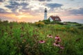Field Of Flowers in front of Portland Head Lighthosue Royalty Free Stock Photo