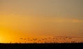 Sunrise in the Prairie Royalty Free Stock Photo