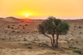 Sunrise in Ras Al Khaimah, United Arab Emirates