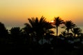 Sunrise, Red Sea, Egypt Royalty Free Stock Photo