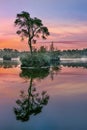 Sunrise reflected in a lake in a forest, South of The Netherlands Royalty Free Stock Photo
