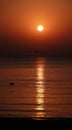 Sunrise,  reflections and seagulls at Black Sea coast - Navodari Royalty Free Stock Photo