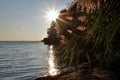 Sunrise on Rend Lake, Illinois Royalty Free Stock Photo