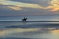 A sunrise ride on your favorite horse is a great way to begin the day Royalty Free Stock Photo