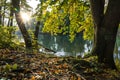 Sunrise at a river with colorful autumn leaves Royalty Free Stock Photo