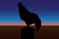 Sunrise Rooster on a Post