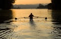 Sunrise Rower Royalty Free Stock Photo