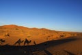 Sunrise in the Sahara Desert Marocco Royalty Free Stock Photo