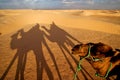 Sunrise in the sahara's desert