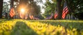 Sunrise Salute: A Tranquil Tribute to Veterans. Concept Veterans Day, Sunrise Ceremony, Peaceful Royalty Free Stock Photo