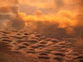 Sunrise Sand and Sea Reflections; Hunting Island Royalty Free Stock Photo