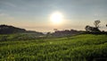 Sunrise in the sawah