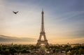 Sunrise scene of Eiffel tower with a pigeon is flying beside, Paris. Royalty Free Stock Photo