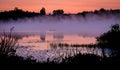 Misty Morning Lake Scene with Duck Family