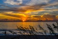 Sunrise with Sea Oats in the Foreground Royalty Free Stock Photo