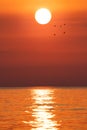 Sunrise on the sea with a seagull. Morning sun above the black sea Royalty Free Stock Photo