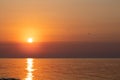 Sunrise on the sea with a seagull. Morning sun above the black sea Royalty Free Stock Photo