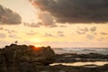 Sunrise Seagull On Rocks