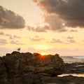 Sunrise Seagull On Rocks