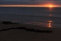 Sunrise and seaweed