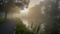 Sunrise Serenade: Mystique of Fog, Reflections and Tree Silhouettes