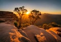 Sunrise Serenity: Daybreak Over the Rugged Outback