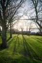 Sunrise, Shadows, Silhouettes, Trees