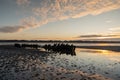 Sunrise at the shipwreck of the SS Nornen