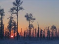 Sunrise in Siberia