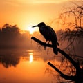 Sunrise silhouette Darter poised by misty river in tranquil morning