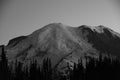 Sunrise Silhouette: Mt. Rainier Head Shot Grey Tones, Mount Rainier National Park