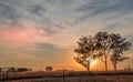 Sunrise with silhouetted trees and a broken fence