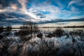 Sunrise and sky over fenland