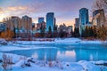 Sunrise Sky Over A Winter Downtown Calgary Park Royalty Free Stock Photo