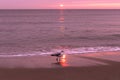 sunrise sky with shore birds and seagulls flying over the Atlantic Ocean near the Shark River Inlet