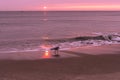 sunrise sky with shore birds and seagulls flying over the Atlantic Ocean near the Shark River Inlet