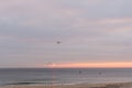 sunrise sky with shore birds and seagulls flying over the Atlantic Ocean near the Shark River Inlet