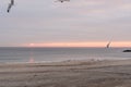 sunrise sky with shore birds and seagulls flying over the Atlantic Ocean near the Shark River Inlet