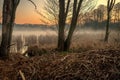A sunrise on a small lake with fog and golden warm light Royalty Free Stock Photo