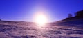 Sunrise in the snowland Royalty Free Stock Photo