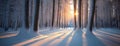 Sunrise Solitude: Light Pierces Through Wintry Forest Majesty. The golden rays filter through a dense, snow-laden trees