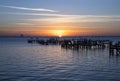 Sunrise At Spaceview Park in Titusville