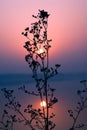 Sunrise on standing water peaceful