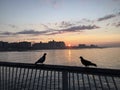 Sunrise in Summer at Coney Island in Brooklyn, New York, NY. Royalty Free Stock Photo