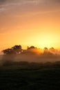 Sunrise on a summer morning in the countryside, morning fog, idyllic view. Leisure in the countryside. Royalty Free Stock Photo