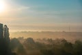 The sunrise in the summer on the outskirts of the city. Trees in the fog. On the horizon, power lines are visible Royalty Free Stock Photo