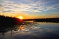 sunrise in summer reeds and water lilies on the river selective focus Royalty Free Stock Photo