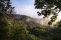 Dawn sun burning off dew in forest landscape creating mist among